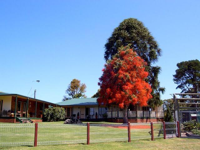 Snowy River Homestead Newmerella ภายนอก รูปภาพ