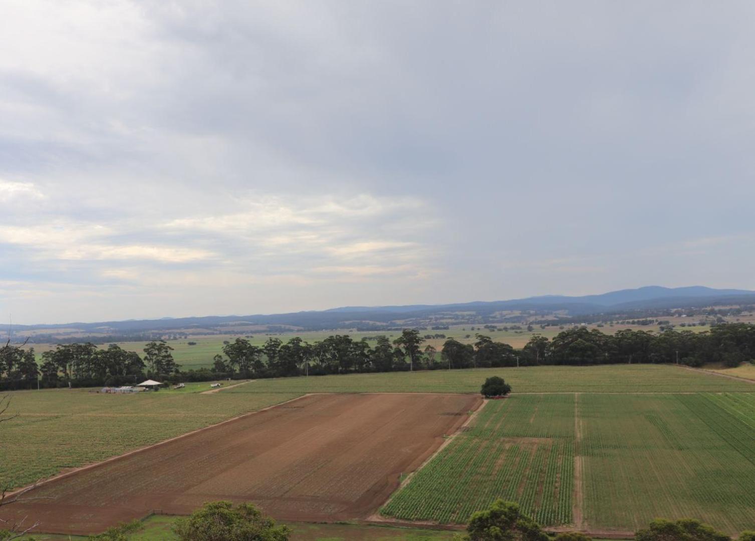 Snowy River Homestead Newmerella ภายนอก รูปภาพ